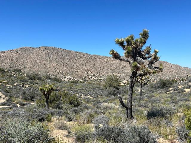 Image 18 of 26 For 101 Hondo Street