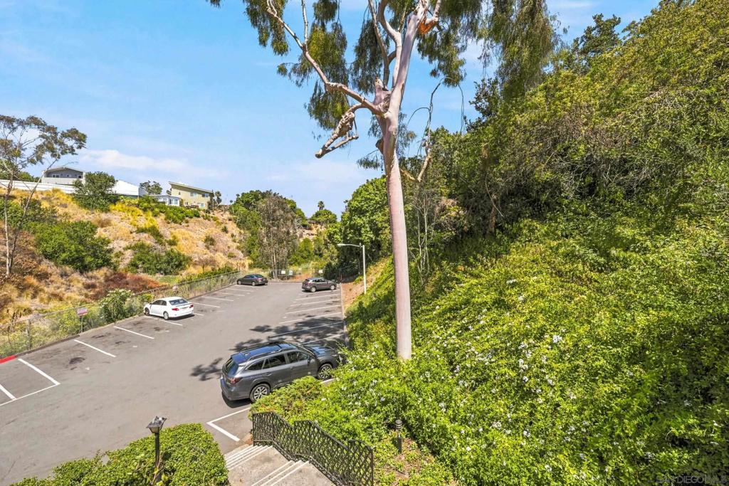 4845 Collwood Blvd - photo 11