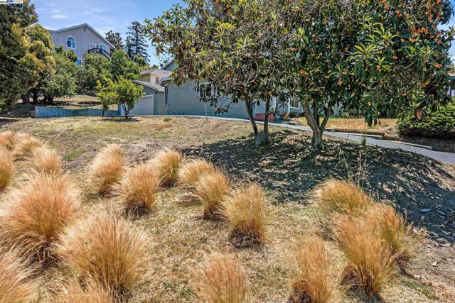 22756 Bayview Ave, Hayward CA: https://media.crmls.org/mediaz/d9c3452c-7dde-4519-ae13-79174b5224ee.jpg
