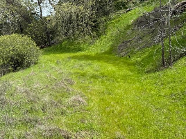 11 Little Uvas Road, Morgan Hill CA: https://media.crmls.org/mediaz/d9c35864-7ca5-4b6b-9ae6-79d7f18a4c9c.jpg