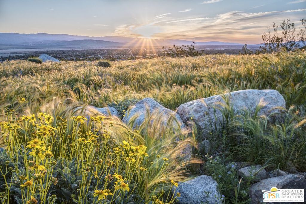 MLS #25579025PS image #11