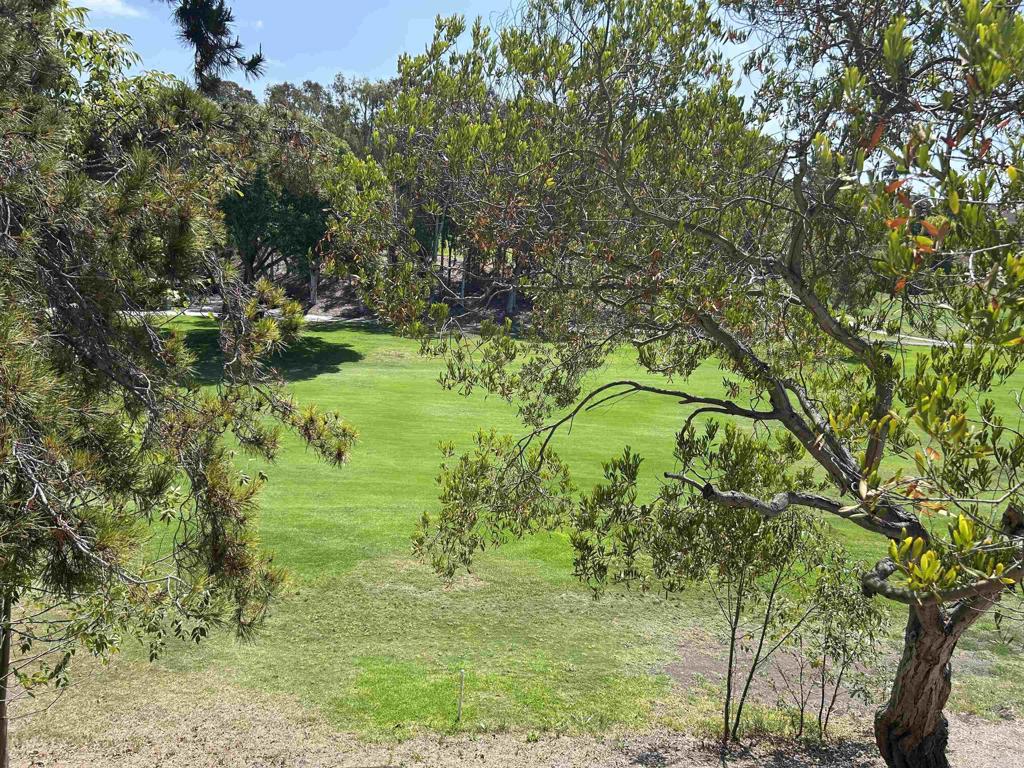 2162 Palmer Drive - photo 17