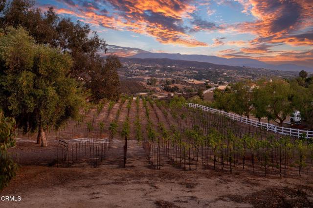 38470 Ave De La Bandolero, Temecula CA: https://media.crmls.org/mediaz/d9e63299-0d77-4f2d-89d0-34c6eb337c6f.jpg