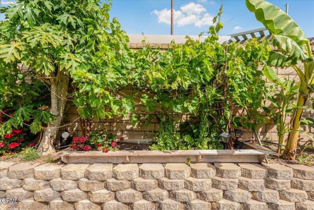 Detail Gallery Image 43 of 51 For 1129 1st St, Fillmore,  CA 93015 - 4 Beds | 2 Baths