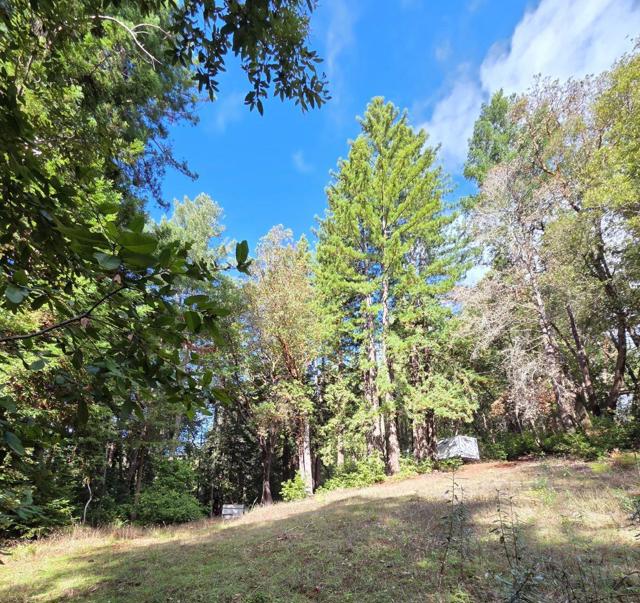 1140 Warren Drive, Santa Cruz CA: https://media.crmls.org/mediaz/d9fe28fb-87b0-48f7-b7d1-c6a38fcb67d6.jpg