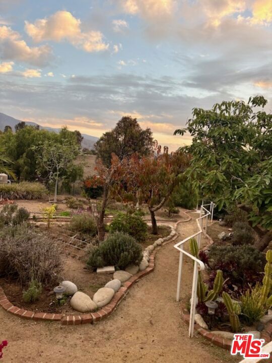 MLS #25614281 image #64