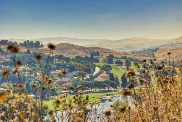 1339 Terra Vista Court, Milpitas CA: https://media.crmls.org/mediaz/da08dad6-4e9b-4642-a7dc-25a16479ac17.jpg