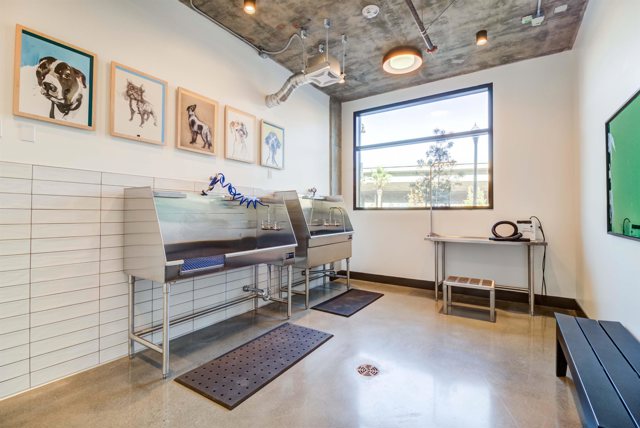 260 260 Brooklyn Basin Way, Oakland CA: https://media.crmls.org/mediaz/da11262a-e3bb-4826-8ac0-4e9c8f623c82.jpg