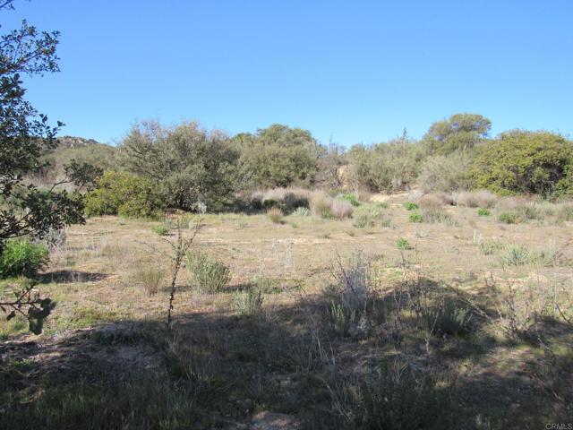 Detail Gallery Image 4 of 12 For 4 .38 Acres Buckman Springs Rd, Campo,  CA 91906 - – Beds | – Baths