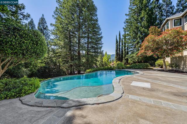 22 Ranger Ct, Alamo CA: https://media.crmls.org/mediaz/da15d8ca-3a1e-414b-a6b3-f8a4b6f7ef2c.jpg