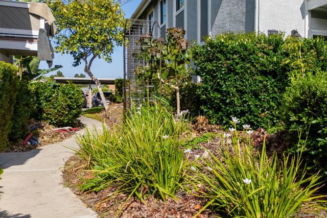 11187 Kelowna Rd, San Diego CA: https://media.crmls.org/mediaz/da1717b2-c084-4624-9ca5-9134c4e6563a.jpg