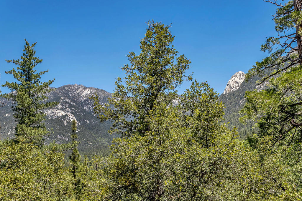 https://media.crmls.org/mediaz/da1c9d06-5c36-4e39-90be-6ae0e5ff0922.jpg?preset=X-Large