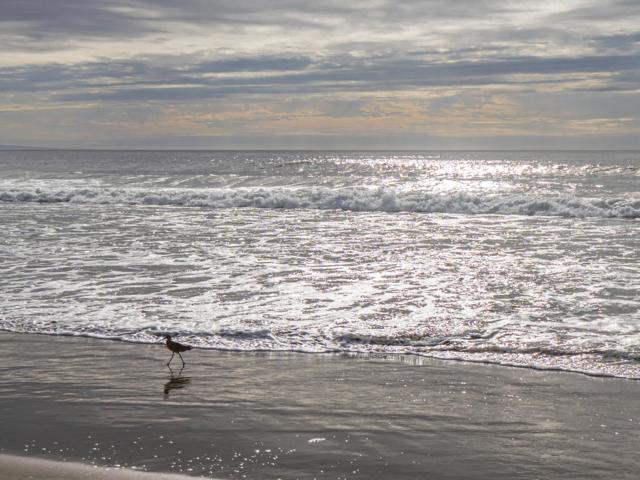 101 Shell Drive, La Selva Beach CA: https://media.crmls.org/mediaz/da2a4596-8843-4765-834a-f73527d30eaa.jpg