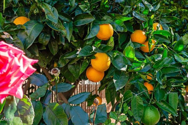 Detail Gallery Image 54 of 65 For 2764 Petit St, Camarillo,  CA 93012 - 2 Beds | 2 Baths