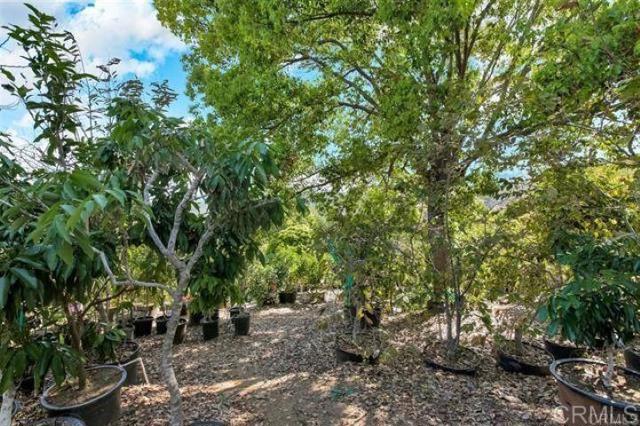 2081 Elevado Road, Vista CA: https://media.crmls.org/mediaz/da379373-b470-48af-84a8-4e832275d7b9.jpg
