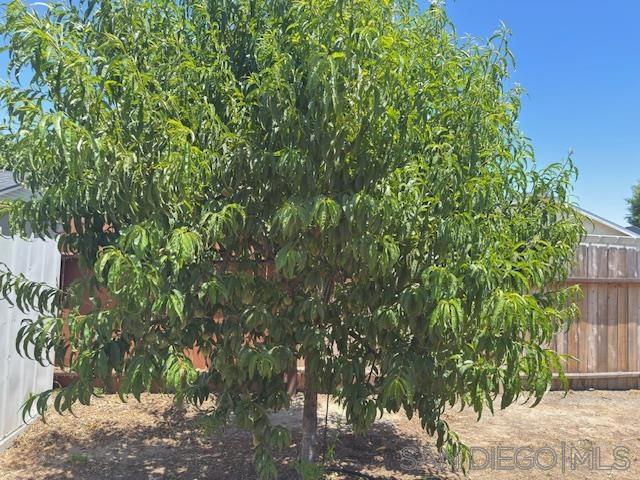 328 Via Ramona, Paso Robles CA: https://media.crmls.org/mediaz/da37d581-4b56-4617-ad6b-f35fcff8b961.jpg