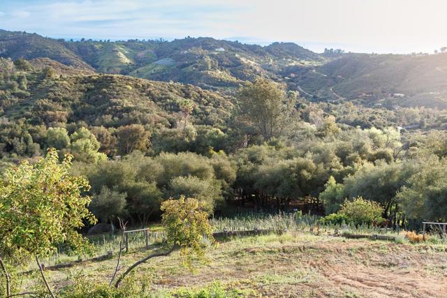 Detail Gallery Image 56 of 74 For 11782 Betsworth Rd, Valley Center,  CA 92082 - 4 Beds | 3 Baths