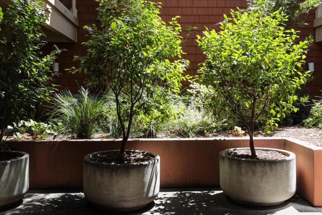 Image 16 of 19 For 4250 El Camino Real  C222