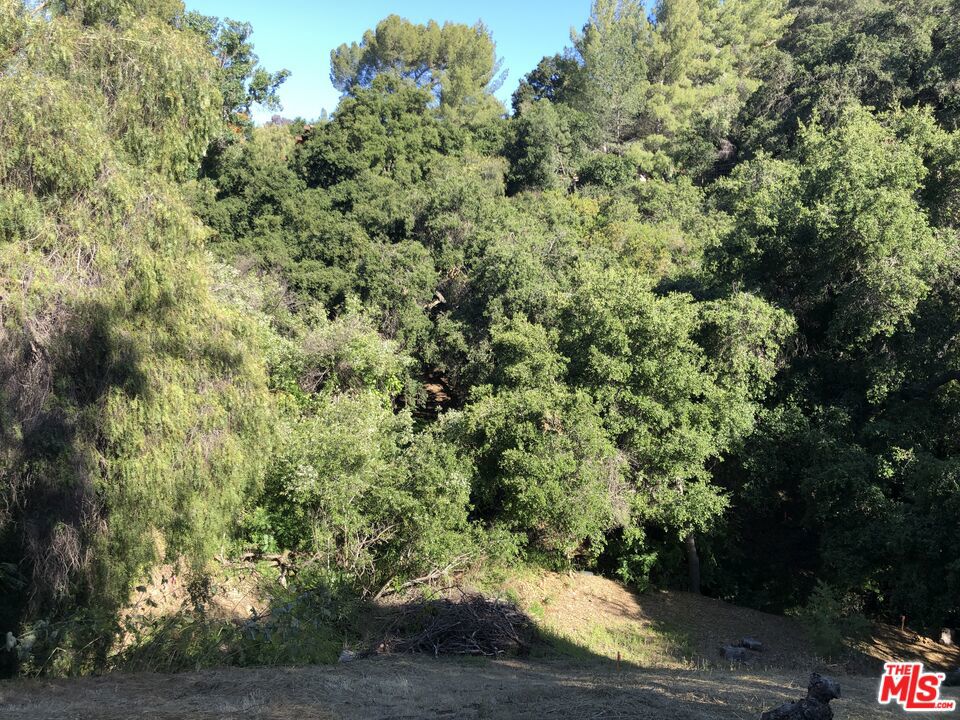 MLS #26853039 image #34
