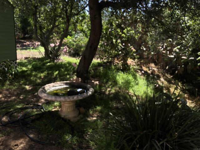 5120 Montiel Truck Trl, Jamul CA: https://media.crmls.org/mediaz/da492d03-1549-4534-9bb2-4be3c229523e.jpg