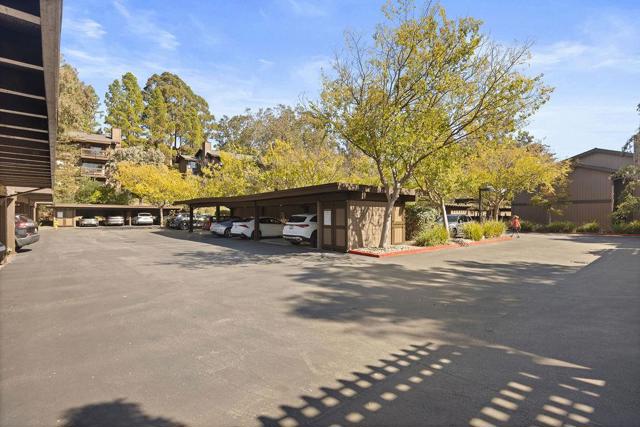 3350 La Mesa Drive, San Carlos CA: https://media.crmls.org/mediaz/da49be34-be6f-4931-8514-7803165051d9.jpg