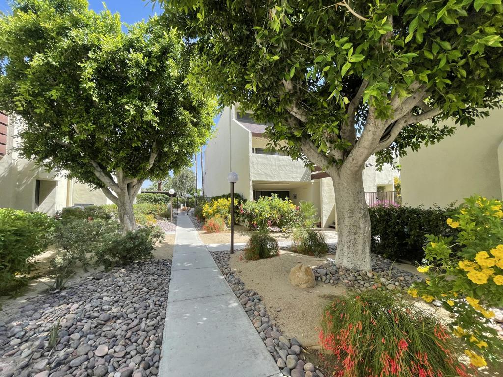 1655 E Palm Canyon Drive #408
