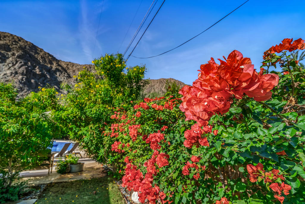 MLS #219139327DA image #49