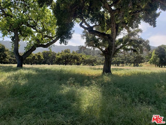 770 Limekiln Road, Hollister CA: https://media.crmls.org/mediaz/da565de0-8237-4665-b082-b97ed0ebc4f1.jpg