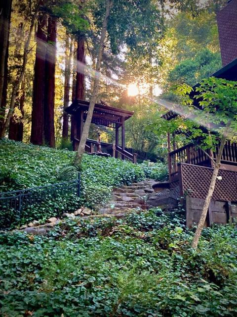 240 Old River Lane, Brookdale CA: https://media.crmls.org/mediaz/da58fd2c-5f7f-4784-bd73-d0a9aed70436.jpg