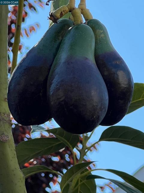 Image 53 of 60 For 34 Elmwood Dr