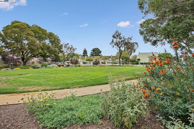 3032 CERRO VISTA, Alameda CA: https://media.crmls.org/mediaz/da5c5eb9-2491-4e6b-a4df-aadaef15c610.jpg