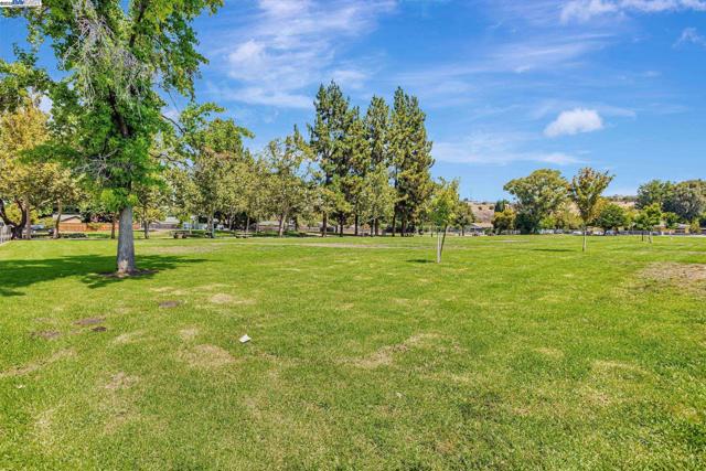 903 Lanewood Dr, San Jose CA: https://media.crmls.org/mediaz/da66a553-01b2-4680-8550-9bfe743276eb.jpg