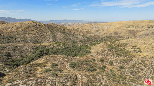  Commercial for Sale in Agua Dulce, California