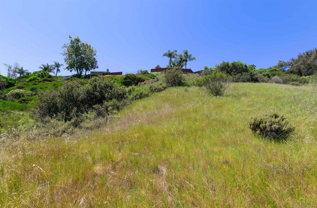 El Camino Real Carlsbad - photo 7