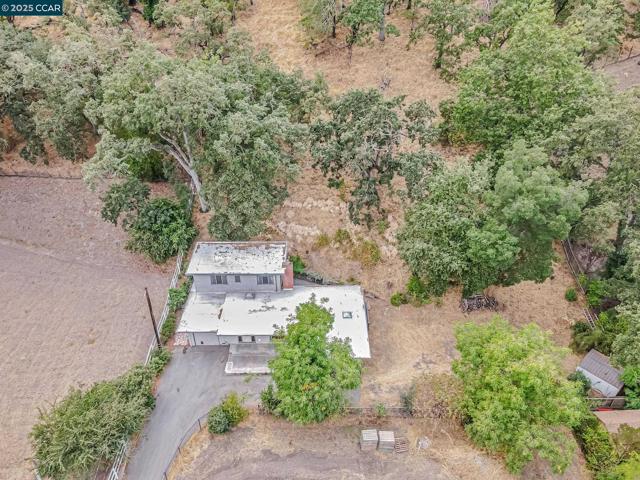 2435 Lunada Ln, Alamo CA: https://media.crmls.org/mediaz/da796fc7-89f2-45d4-a419-aa2747f8b4af.jpg