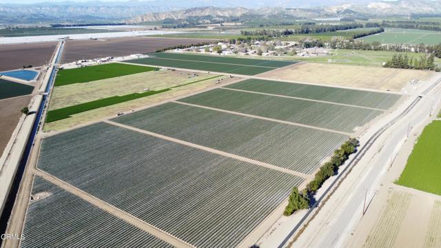 Mohseni Ranch, drone 2