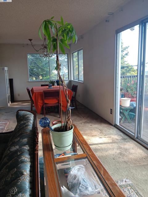 18393 Pepper St, Castro Valley CA: https://media.crmls.org/mediaz/da945dac-44fe-40e5-8c3a-c33bd72adbc4.jpg
