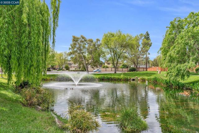 4516 Spring Valley Way, Concord CA: https://media.crmls.org/mediaz/daa26b15-28a3-455a-8069-749df5b89a03.jpg