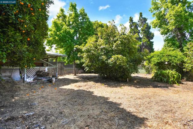 973 Paradise Blvd, Hayward CA: https://media.crmls.org/mediaz/daa44234-75dc-4ca0-88b4-e6df344f0056.jpg