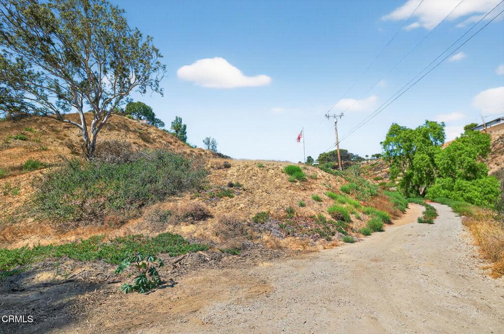 MLS #V1-32289 image #9