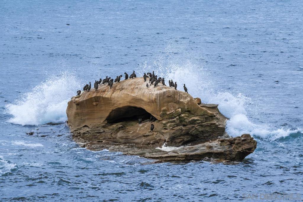 MLS #250037432SD image #46