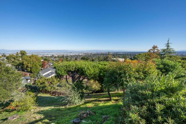 1033 Hewitt Drive, San Carlos CA: https://media.crmls.org/mediaz/daab3912-7e5b-44b6-ae03-e8b9c15e7a00.jpg