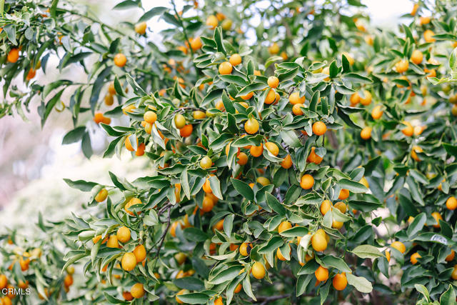 Detail Gallery Image 8 of 72 For 2506 Weston Pl, Glendale,  CA 91208 - 3 Beds | 2 Baths