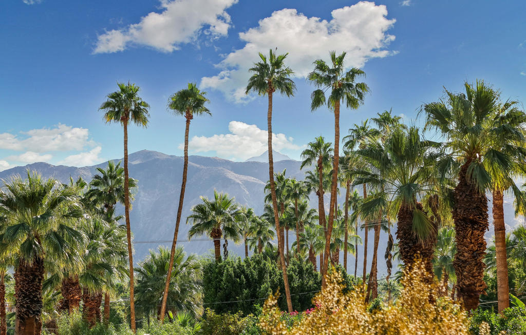 MLS #219131556PS image #21