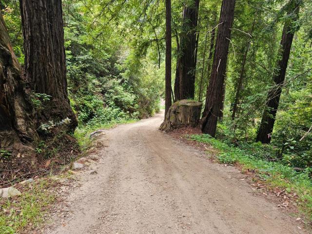0 Garrapatos Redwood Trail, Carmel CA: https://media.crmls.org/mediaz/dab25c67-adfc-405c-9a4b-84f85b3a3588.jpg