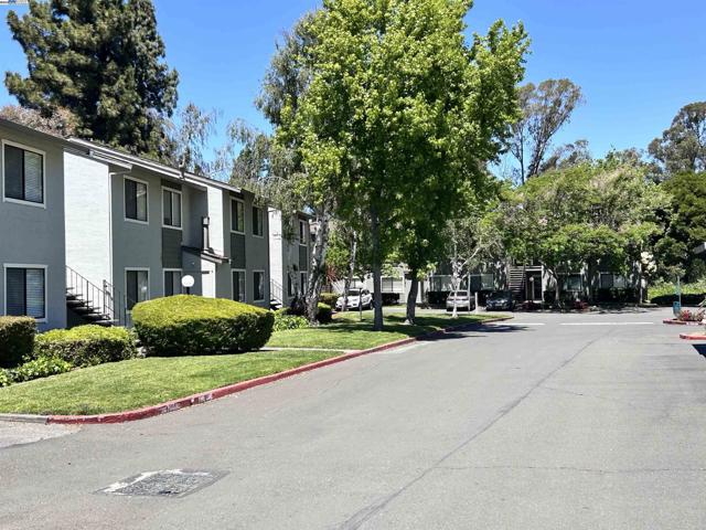 900 Cambridge Dr, Benicia CA: https://media.crmls.org/mediaz/dabdd759-5cd4-4ce8-9016-7632bcc51189.jpg