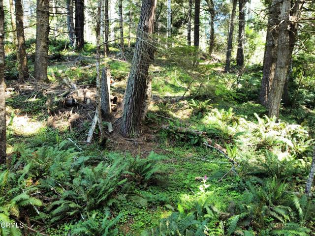 Detail Gallery Image 20 of 23 For 44551 Raven Ln, Mendocino,  CA 95460 - – Beds | – Baths