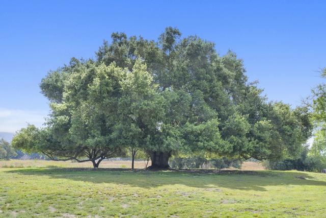 Detail Gallery Image 34 of 43 For 33141 Mill Creek Rd, Pauma Valley,  CA 92061 - 2 Beds | 2 Baths