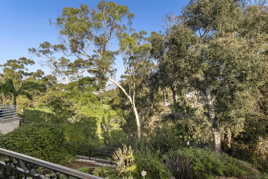 MLS #250043762SD image #19