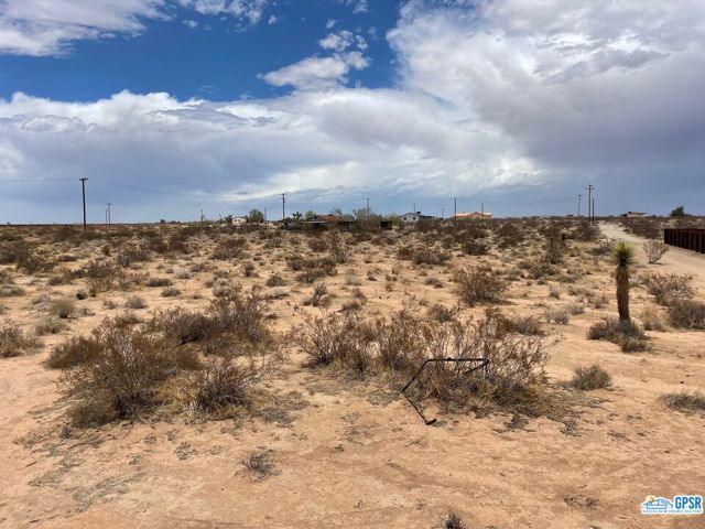 22175831 Listing Image 3
